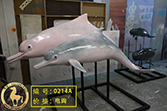 0214A海豚游乐园